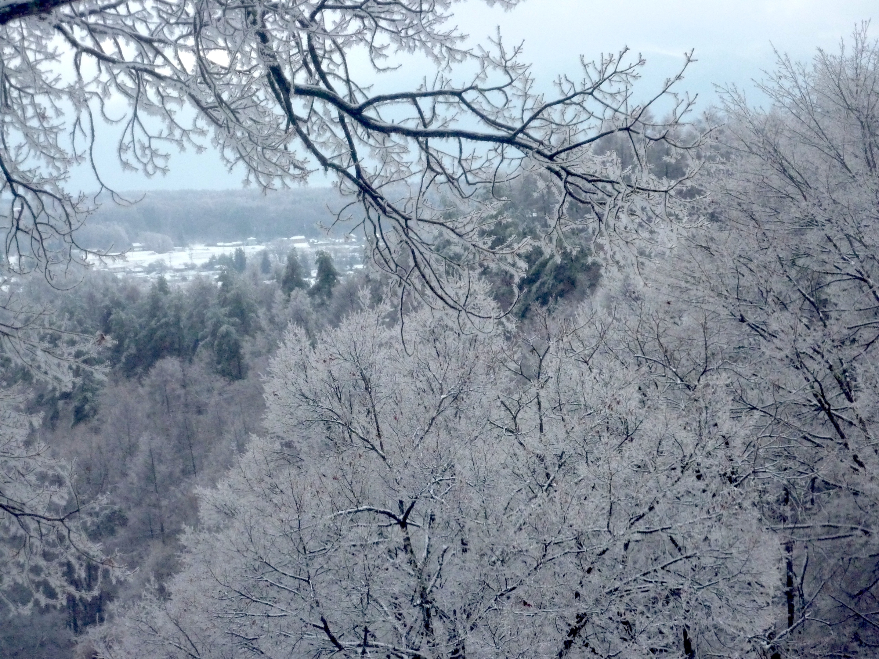 雪