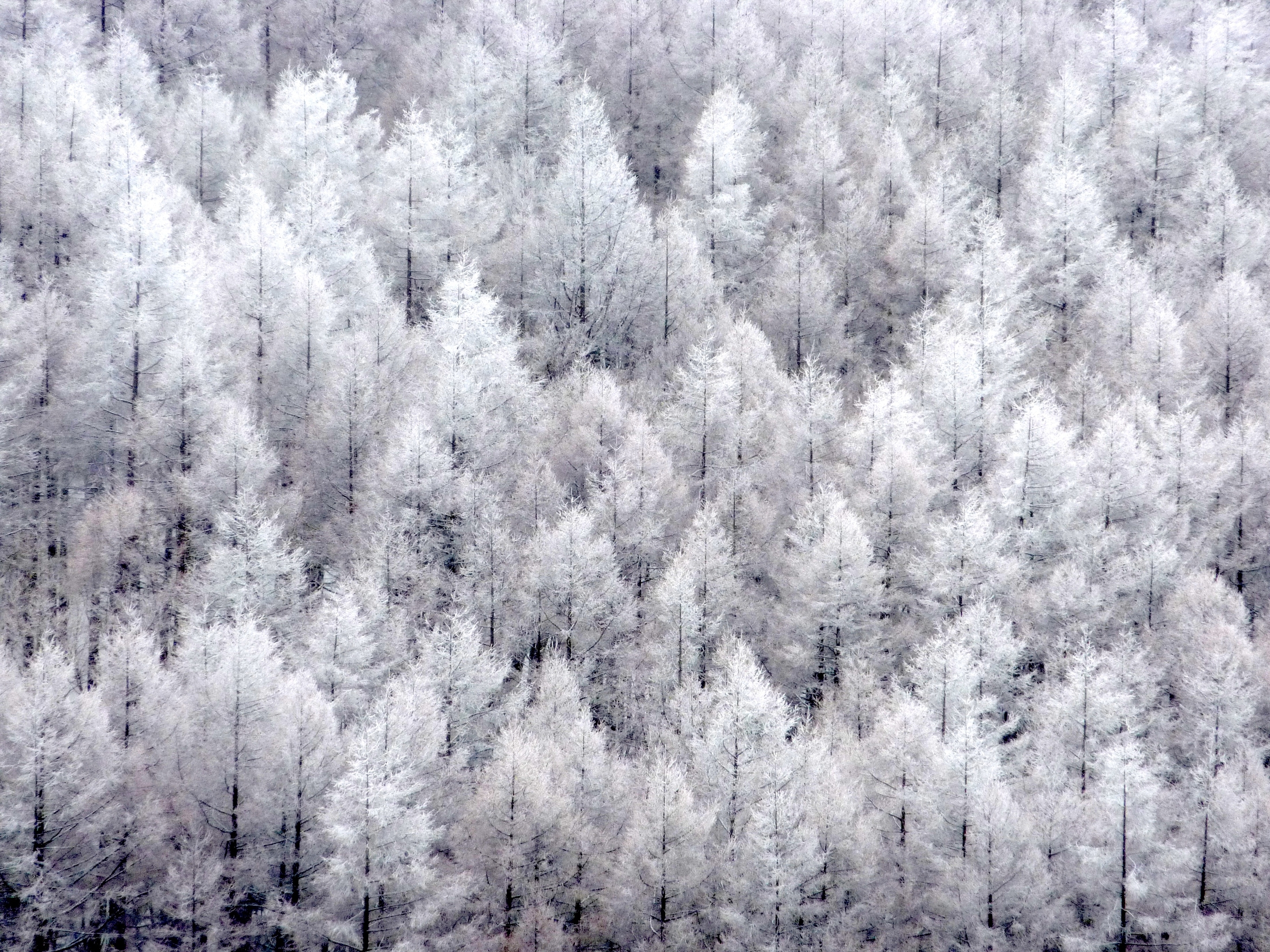 雪山